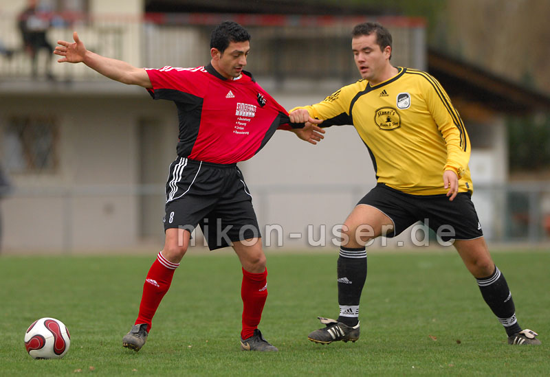 DSC_4913 Kopie
