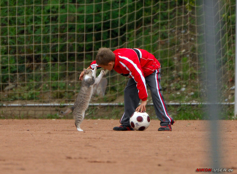 DSC_2084 Kopie
