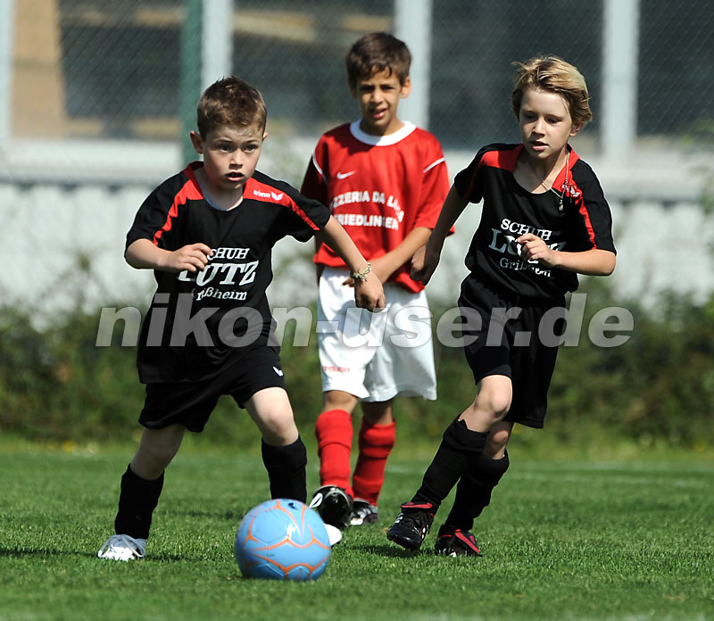 DSC_4166 Kopie