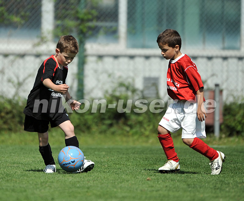 DSC_4172 Kopie