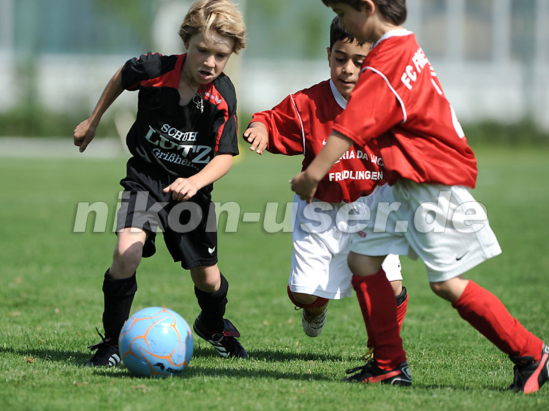 DSC_4181 Kopie