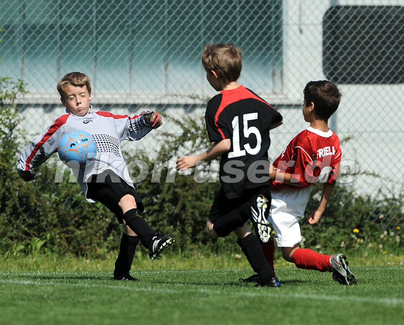 DSC_4185 Kopie
