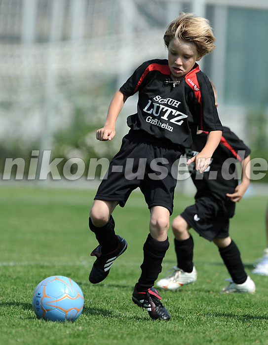 DSC_4225 Kopie