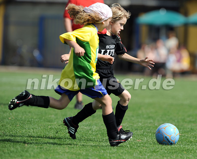 DSC_4231 Kopie
