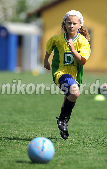 DSC_4253 Kopie