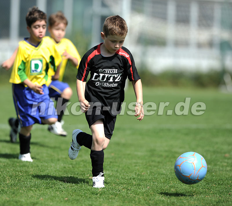 DSC_4258 Kopie