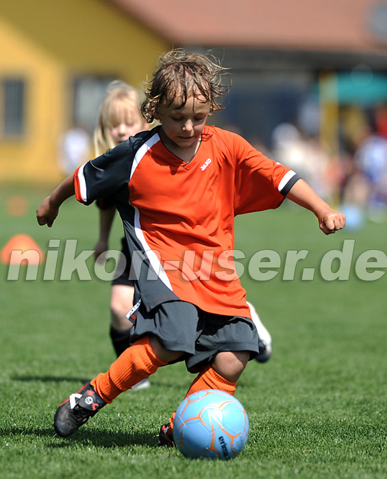 DSC_4303 Kopie
