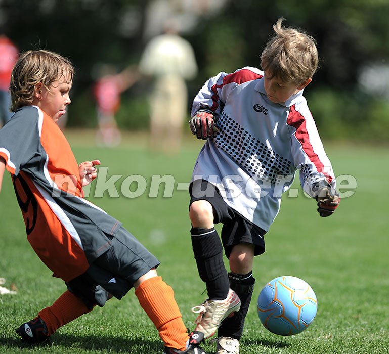 DSC_4323 Kopie