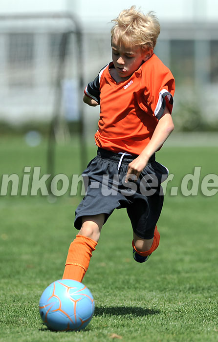 DSC_4328 Kopie