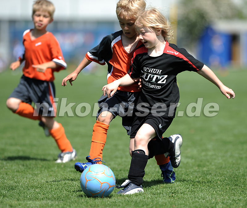 DSC_4336 Kopie