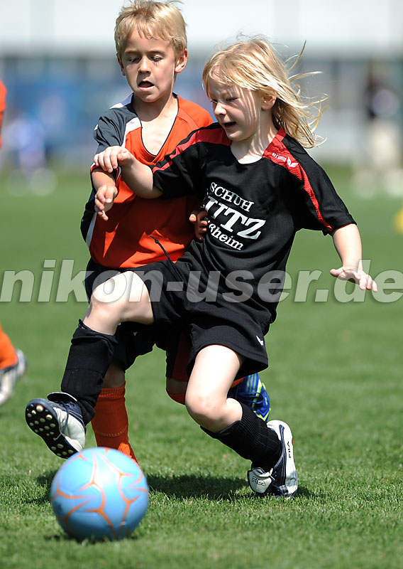 DSC_4337 Kopie