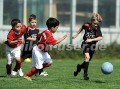 DSC_4159 Kopie