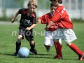 DSC_4181 Kopie