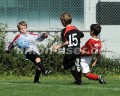 DSC_4185 Kopie