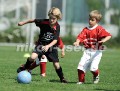 DSC_4209 Kopie