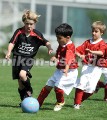 DSC_4211 Kopie