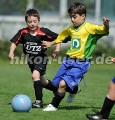 DSC_4221 Kopie