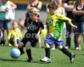 DSC_4246 Kopie