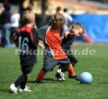 DSC_4316 Kopie