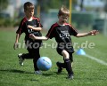 DSC_4324 Kopie