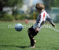 DSC_4341 Kopie