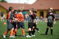 DSC_4343 Kopie