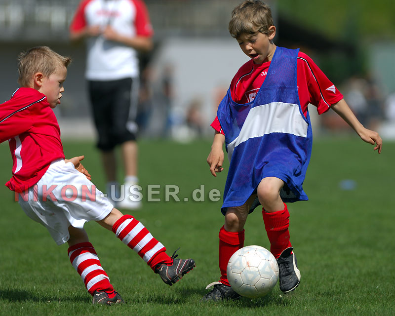 DSC_8265 Kopie