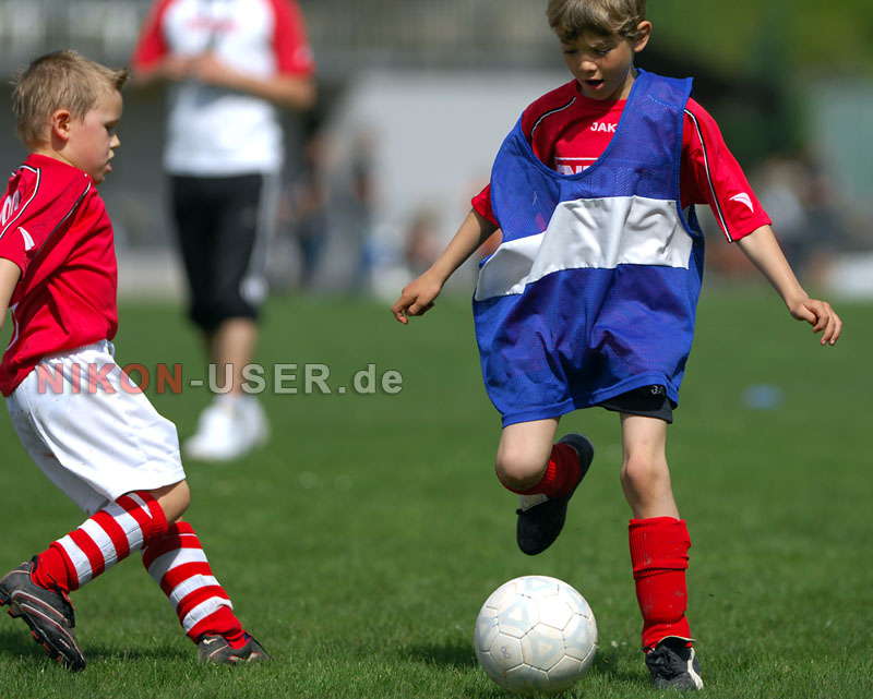 DSC_8266 Kopie