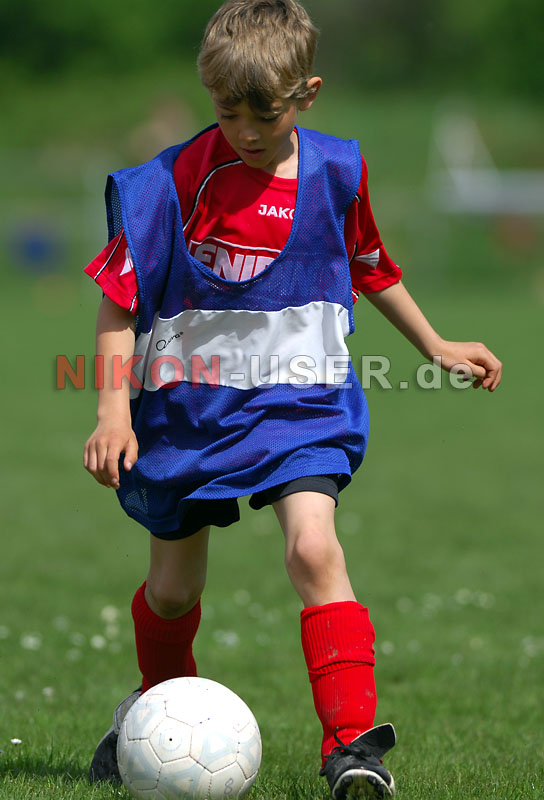 DSC_8268 Kopie