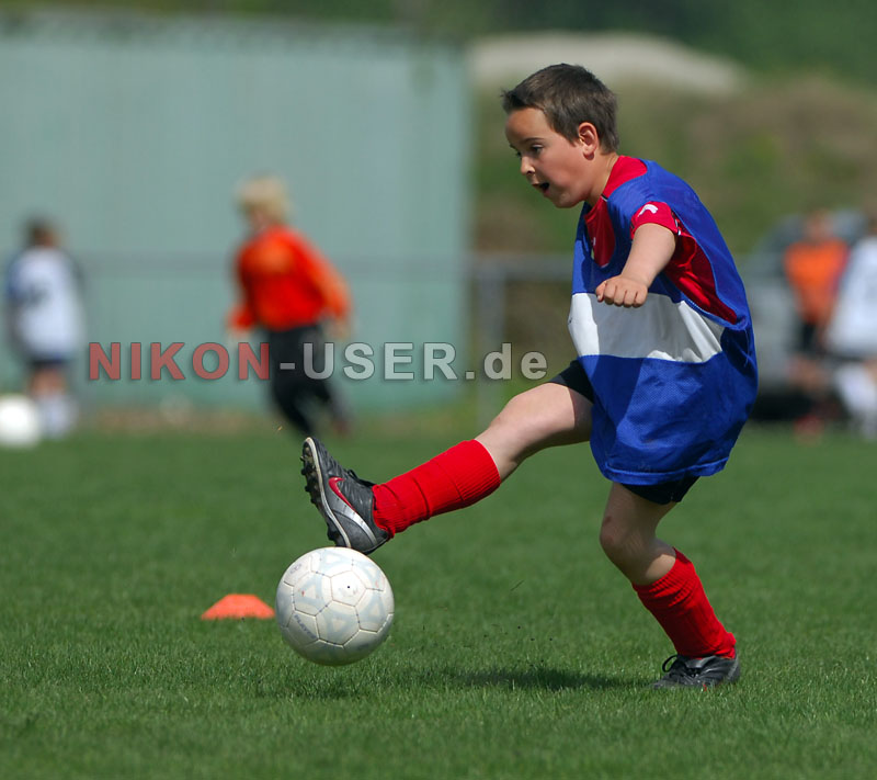 DSC_8271 Kopie