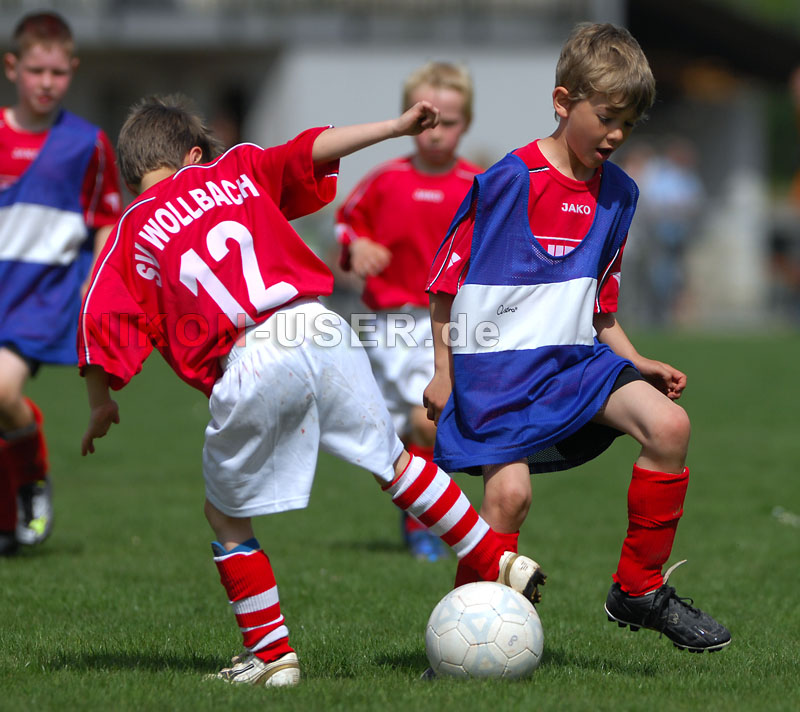 DSC_8272 Kopie