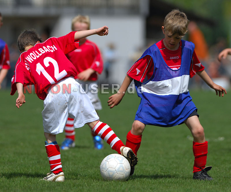 DSC_8273 Kopie
