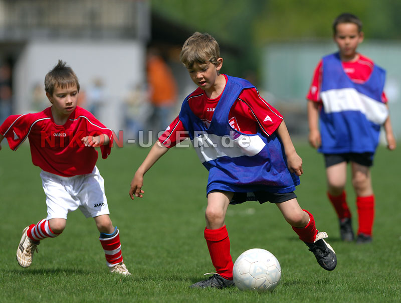 DSC_8274 Kopie