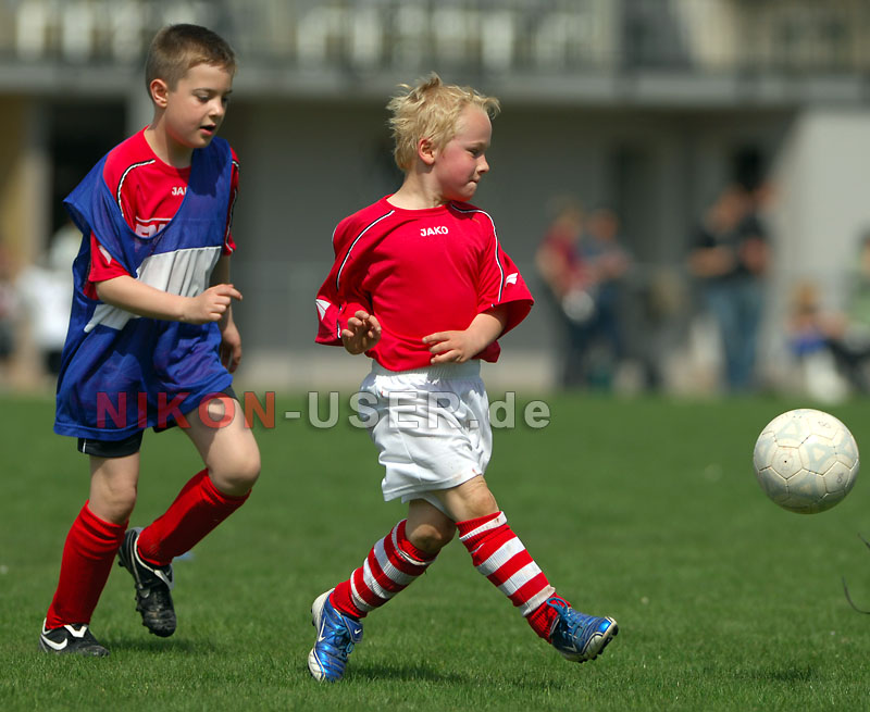 DSC_8283 Kopie