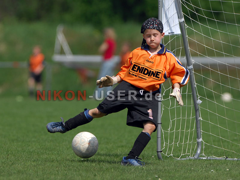 DSC_8286 Kopie