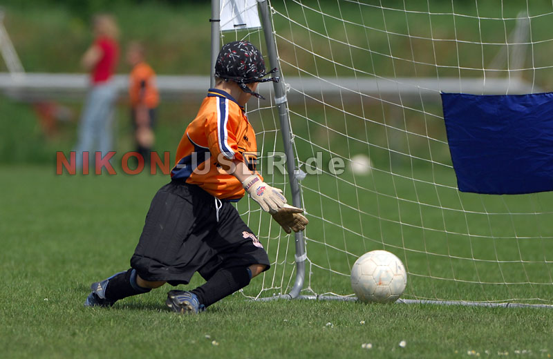 DSC_8287 Kopie