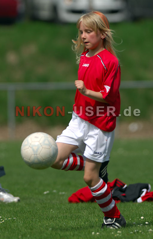DSC_8290 Kopie