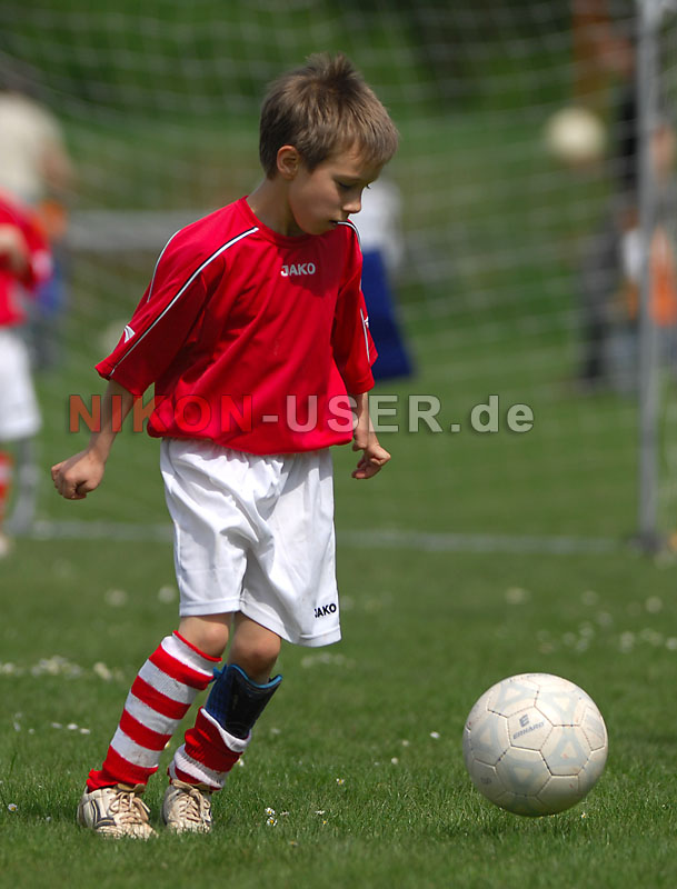 DSC_8297 Kopie