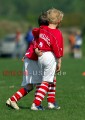 DSC_8262 Kopie