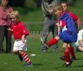 DSC_8277 Kopie