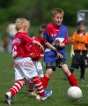 DSC_8294 Kopie