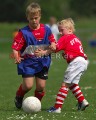 DSC_8295 Kopie