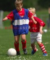 DSC_8296 Kopie
