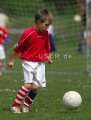 DSC_8297 Kopie