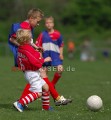 DSC_8298 Kopie