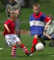 DSC_8299 Kopie