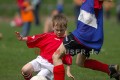 DSC_8307 Kopie