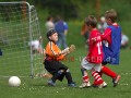 DSC_8310 Kopie