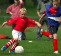 DSC_8312 Kopie