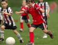 DSC_8321 Kopie
